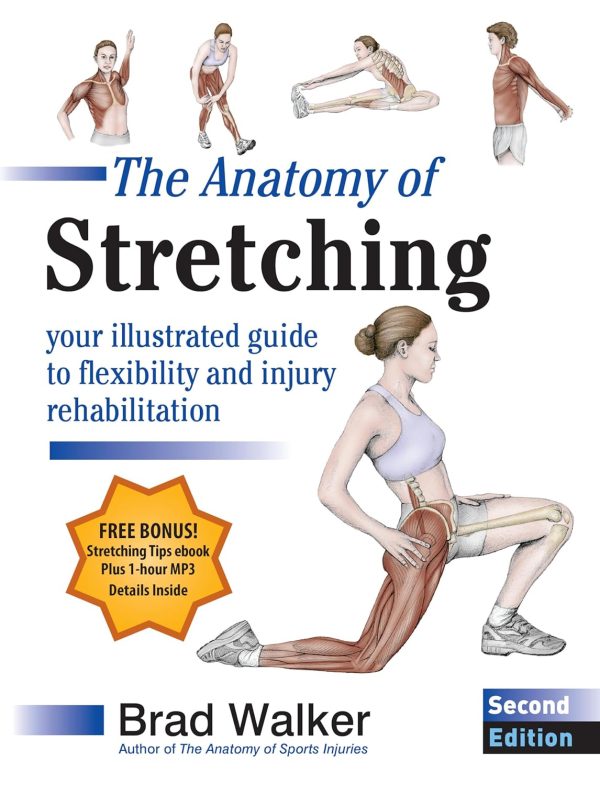 The Anatomy of Stretching: Illustrated Flexibility Guide
